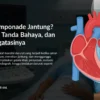 Apa Itu Tamponade Jantung? Penyebab, Tanda Bahaya, dan Cara Mengatasinya